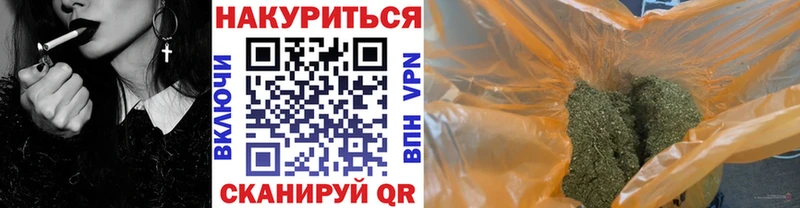 Шишки марихуана THC 21%  где найти наркотики  Шали 
